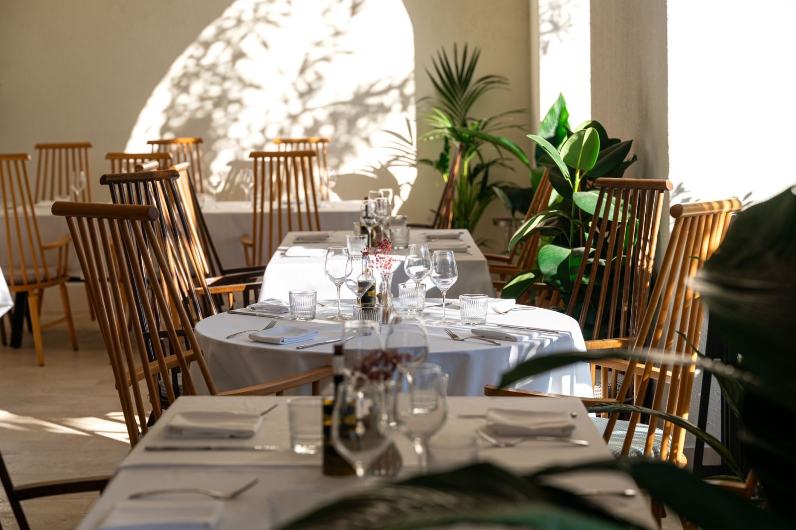 Restaurant babi restaurant - fine dining experience